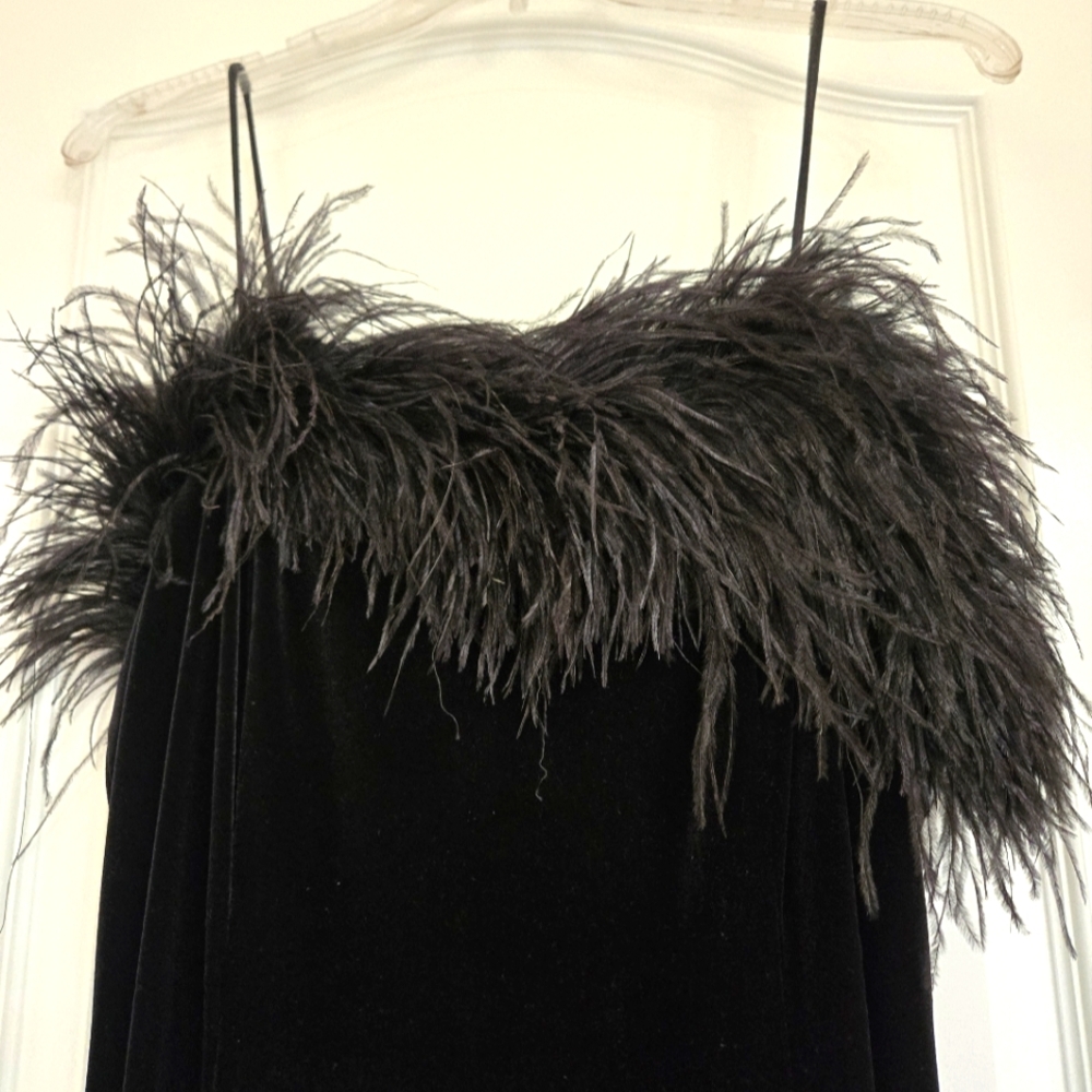 Black Ostrich Feather Velvet Trim Dress